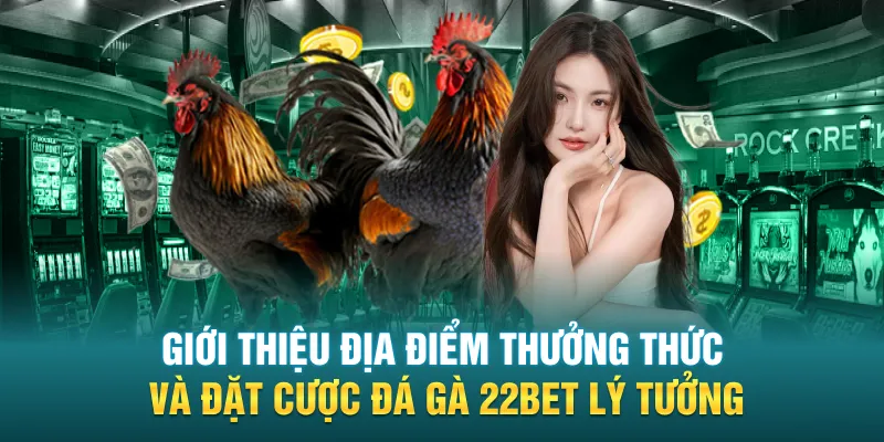 Giới thiệu địa điểm thưởng thức và đặt cược đá gà 22BET lý tưởng