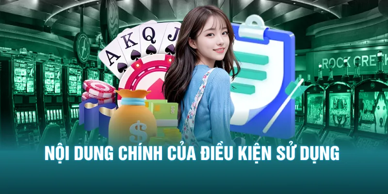 Nội dung chính của điều kiện sử dụng