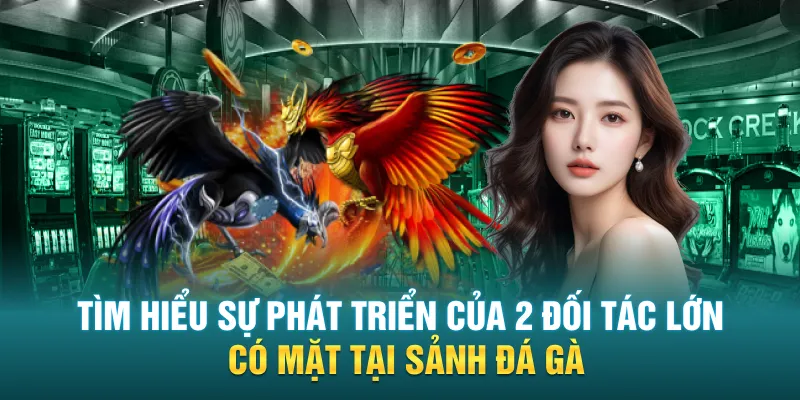 Tìm hiểu sự phát triển của 2 đối tác lớn có mặt tại sảnh đá gà