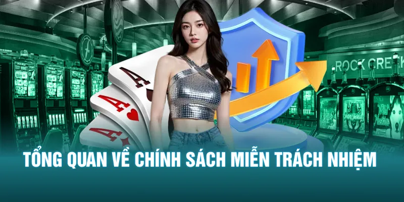 Tổng quan về chính sách miễn trách nhiệm